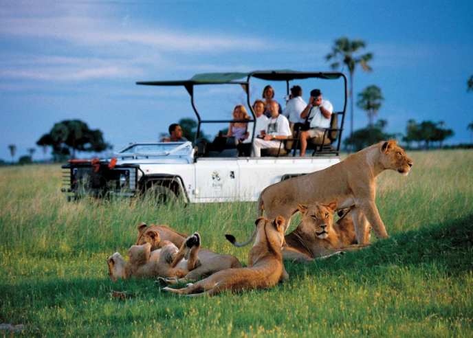 Game Drive